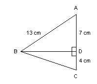 mc020-1.jpg
